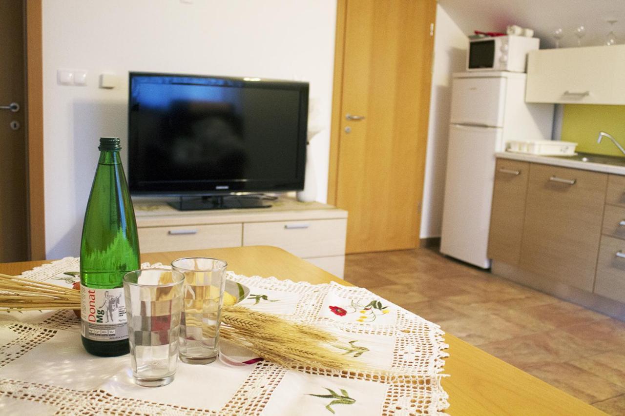 Apartma Pegaz Rogaška Slatina Zewnętrze zdjęcie