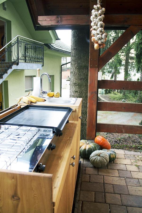 Apartma Pegaz Rogaška Slatina Zewnętrze zdjęcie
