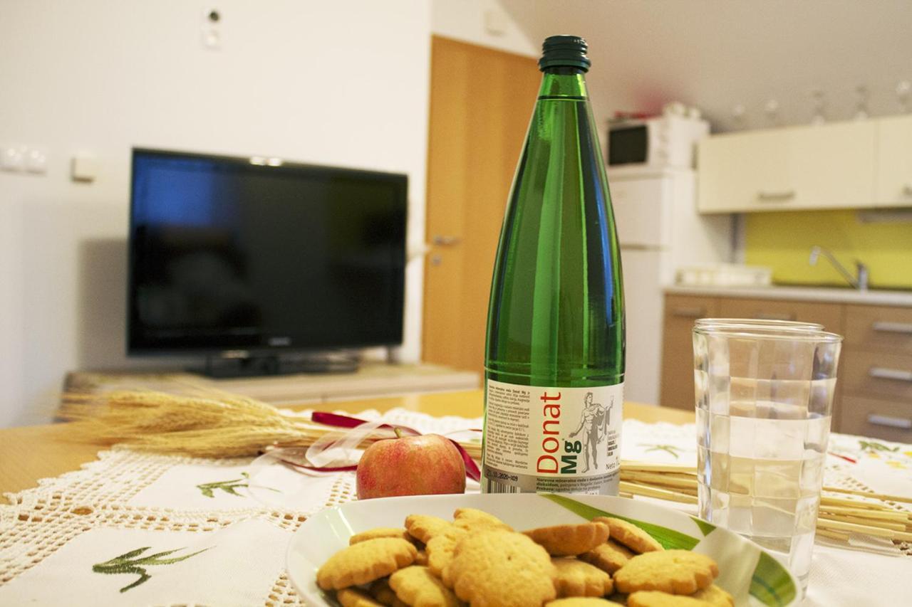 Apartma Pegaz Rogaška Slatina Zewnętrze zdjęcie
