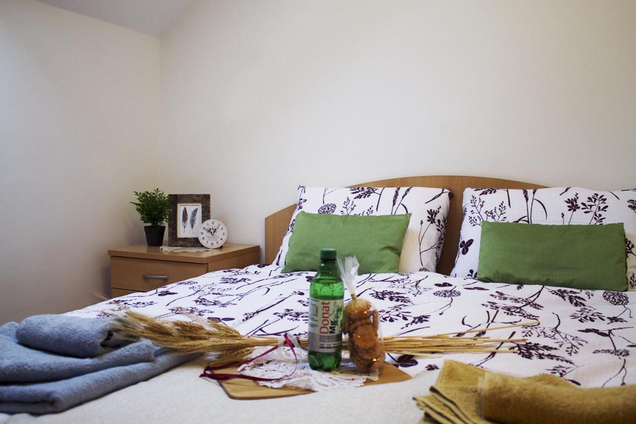 Apartma Pegaz Rogaška Slatina Zewnętrze zdjęcie
