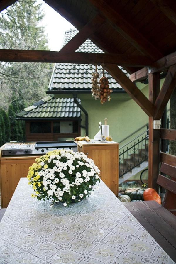 Apartma Pegaz Rogaška Slatina Zewnętrze zdjęcie